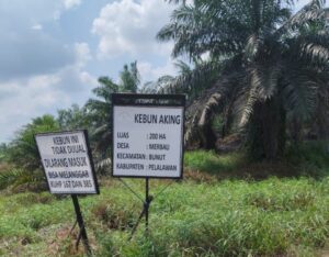 Screenshot_2025-09-04-22-26-25-78_965bbf4d18d205f782c6b8409c5773a4