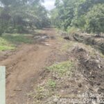 Kebun Milik Siahaan Tidak Miliki IUP dan Amdal Gakum DLH akan Verifikasi ke Lokasi