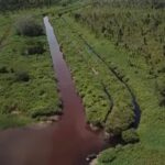 Tragedi Ribuan Ikan Mati di Desa Sering, Tiga Kanal Limbah Industri Diduga Milik APRIL Group Disorot