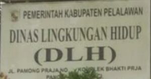 Screenshot_20240814_0741582