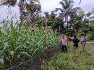 IMG-20260521-WA0000