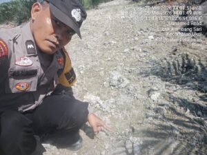 IMG-20260531-WA0058