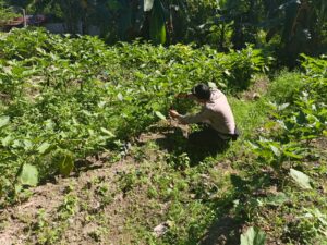 IMG-20260607-WA0046