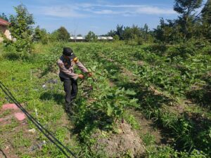 IMG-20260611-WA0011