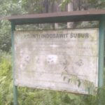 Sungai Air Hitam Kanan Terancam, Ribuan Meter Bantaran Diduga Ditanami Sawit oleh PT IIS