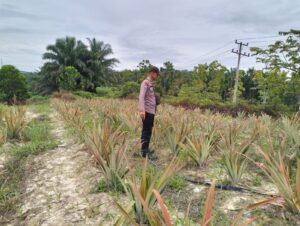 IMG-20260701-WA0016