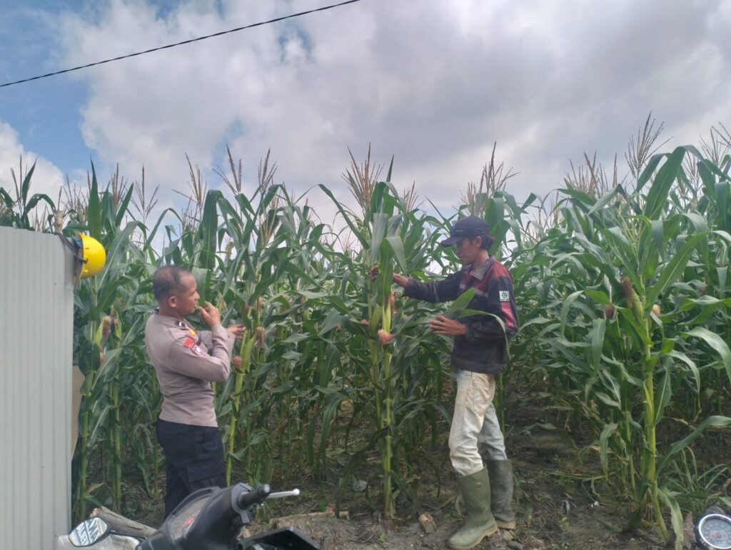 IMG-20260703-WA0062