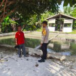 Bhabinkamtibmas Langgam Pantau Program Ketahanan Pangan, Dorong Budidaya Ikan Patin di Pelalawan