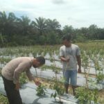 IMG-20260717-WA0055