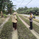 IMG-20260717-WA0085