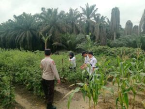 IMG-20260718-WA0010