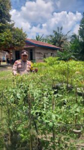 IMG-20260718-WA0074