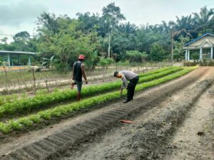 IMG-20260722-WA0062