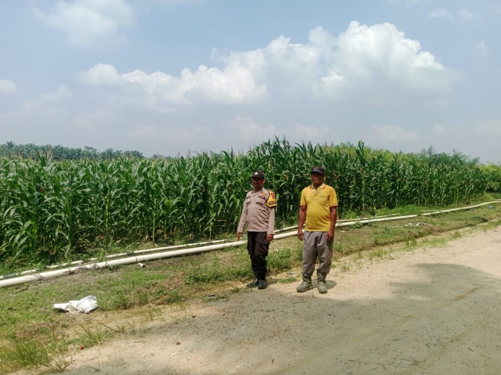 IMG-20260729-WA0043