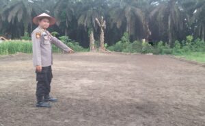 IMG-20260729-WA0116