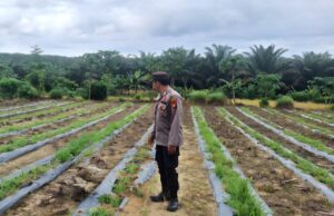 IMG-20260731-WA0059
