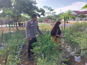 IMG-20260803-WA0011