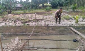 IMG-20260803-WA0077