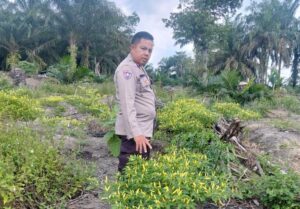 IMG-20260804-WA0111