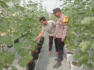 IMG-20260808-WA0045