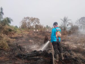 IMG-20260813-WA0142