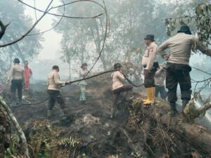 IMG-20260816-WA0074