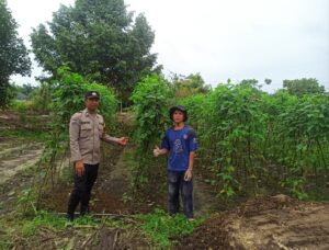 IMG-20260821-WA0120
