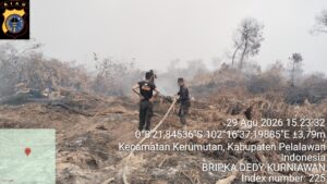 IMG-20260829-WA0117
