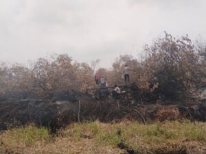 IMG-20260830-WA0095