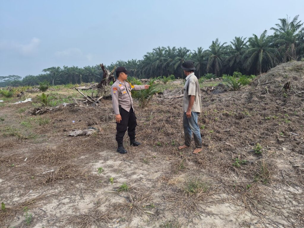 IMG-20260902-WA0028