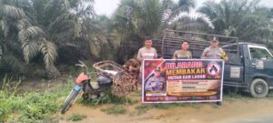 IMG-20260912-WA0111