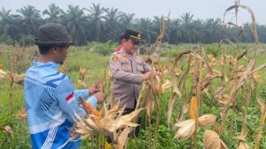 IMG-20260922-WA0106