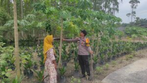 IMG-20261001-WA0061