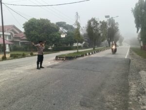 IMG-20261005-WA0228